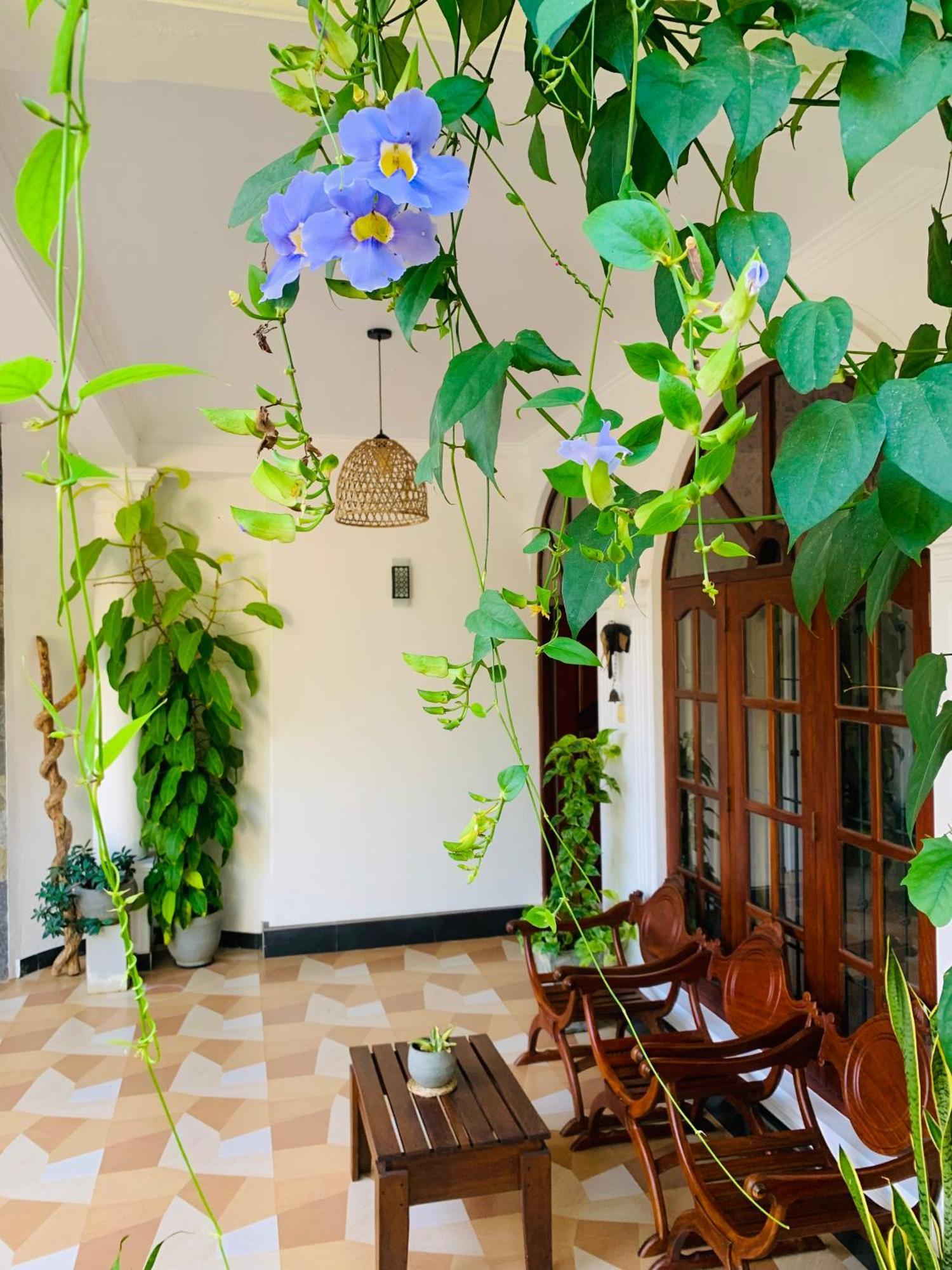Breeze Bay Villa Dikwella Εξωτερικό φωτογραφία