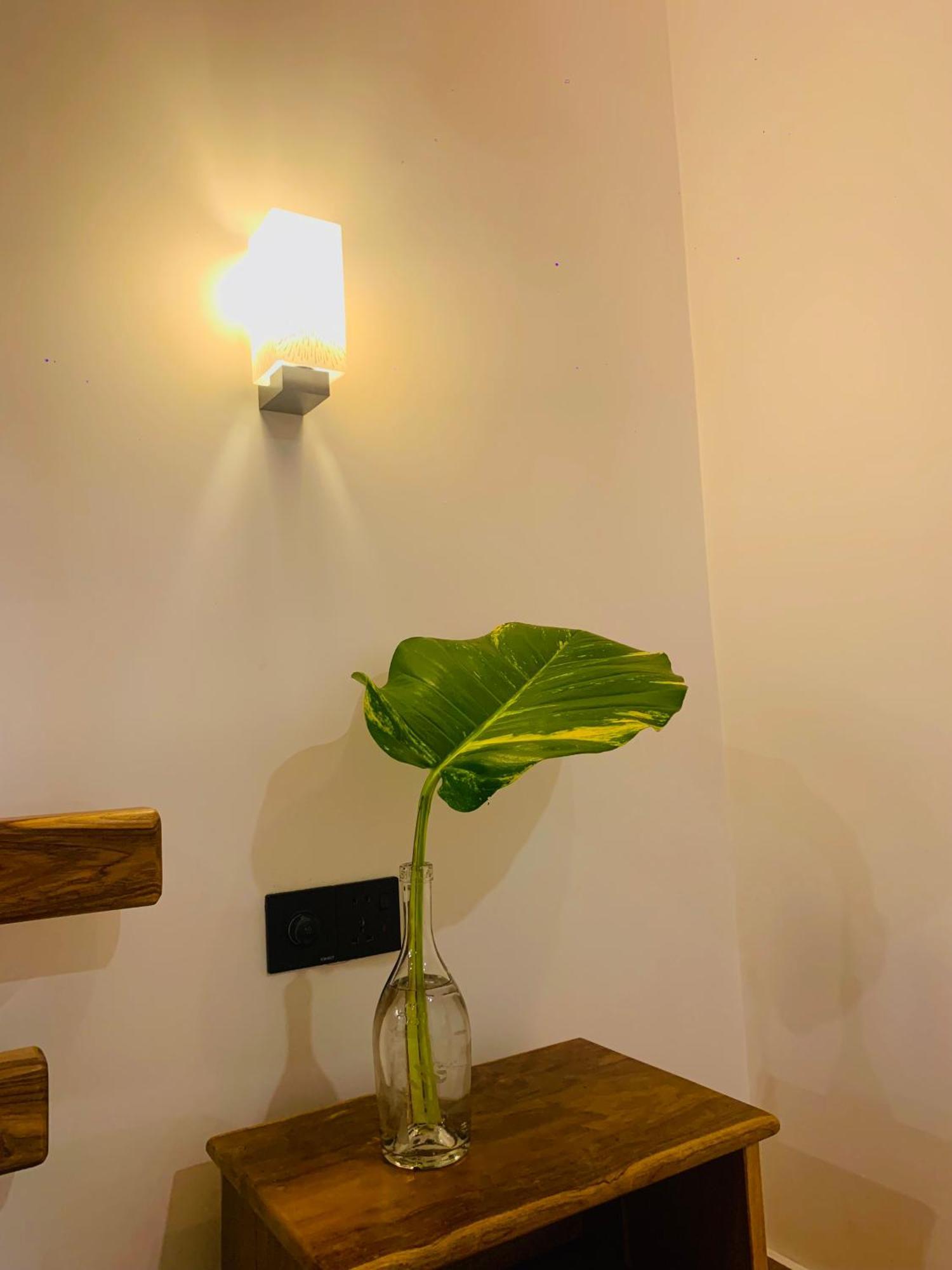 Breeze Bay Villa Dikwella Εξωτερικό φωτογραφία