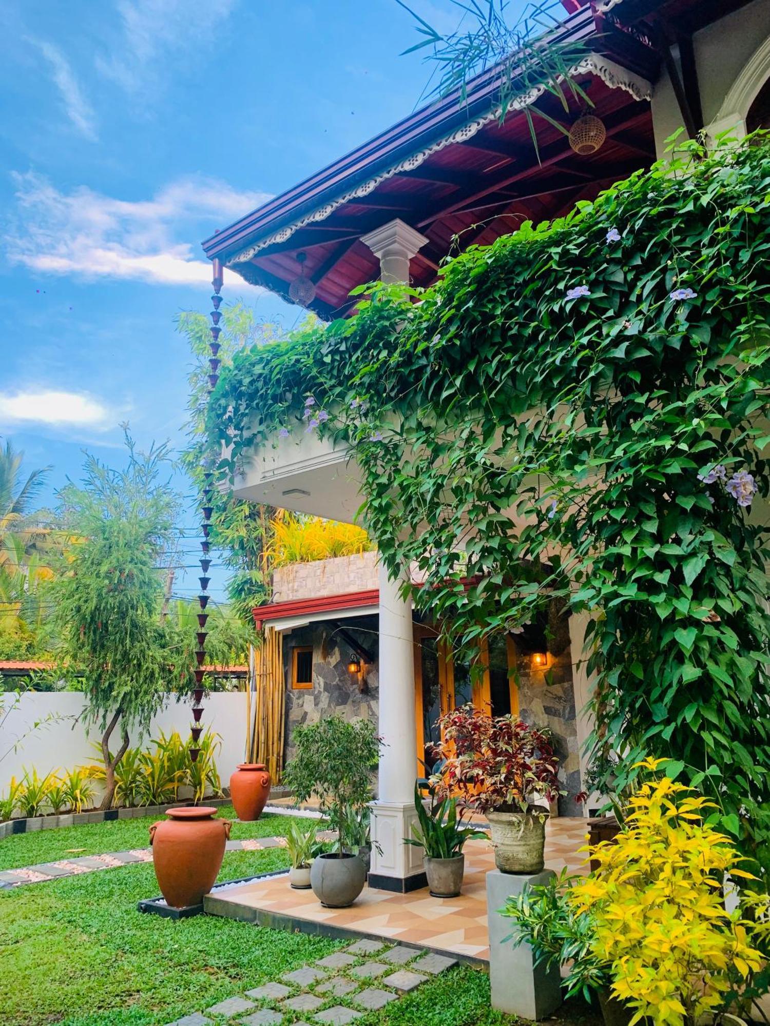 Breeze Bay Villa Dikwella Εξωτερικό φωτογραφία